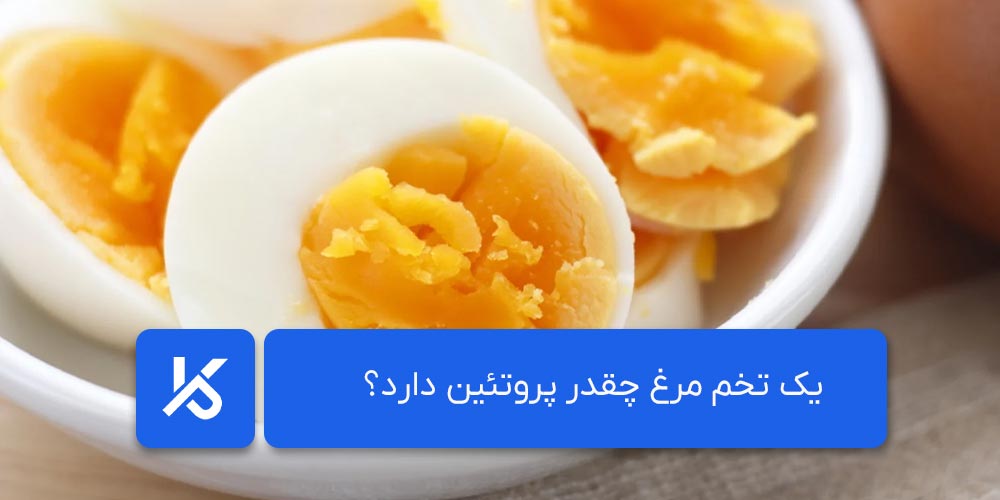 یک تخم مرغ چقدر پروتئین دارد؟
